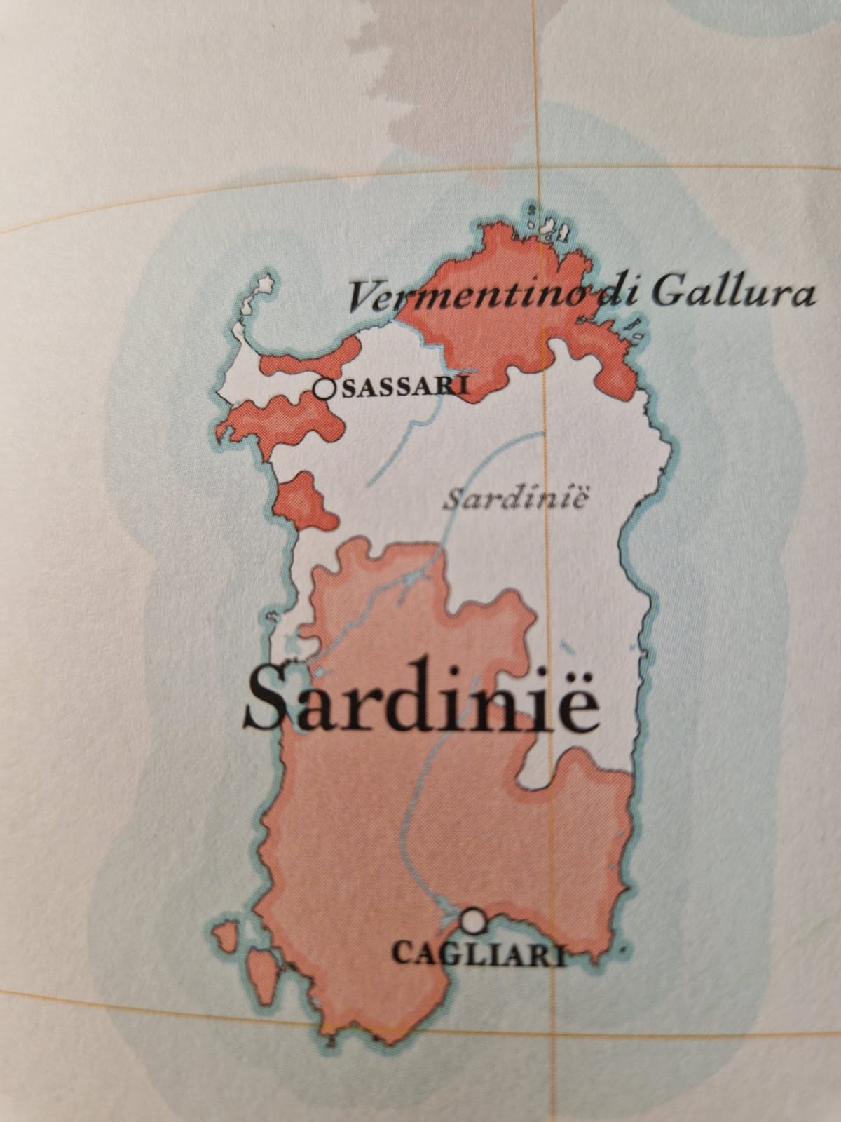 Grotta Rossa Carignano Rood 2020 (per 6); Flesprijs € 14,50